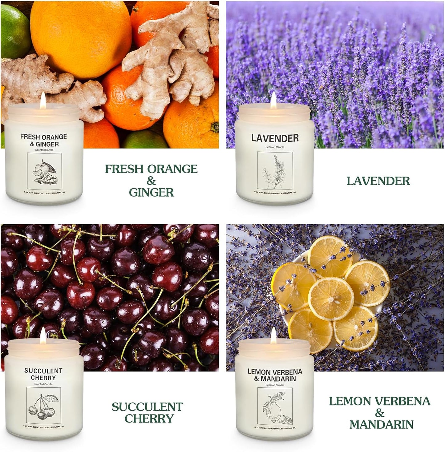 Amber Solace | 2-Pack 7.1oz Soy Wax Candles – Apple Cinnamon Scented, 120+ Hour Burn Time, Aromatherapy Gift Set for Women, Cozy Holiday Home Decor